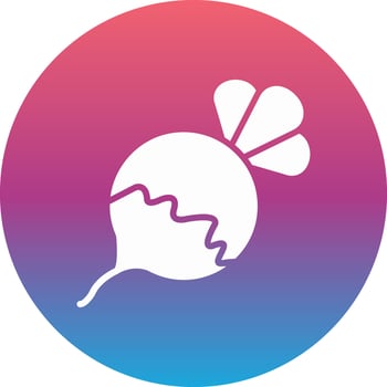 Turnip Vector Icon