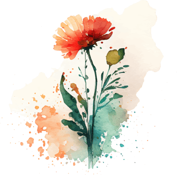 Beautiful Watercolor Painted Flower Cutout png
