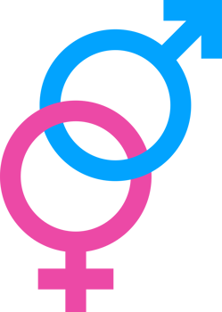 Gender icon symbols. Sex equality signs illustration. png