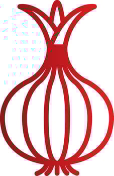 Onion Vector Icon