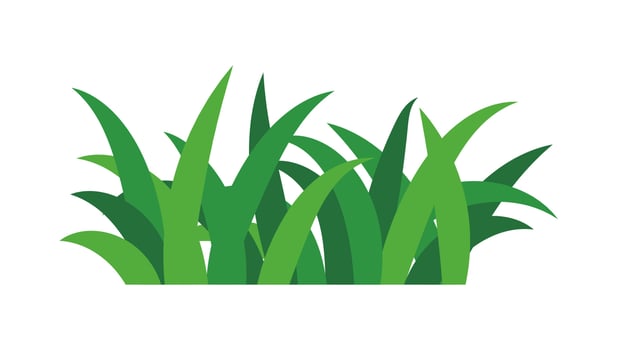 natural green grass bushes decorate environmental ecology cartoon scene vector