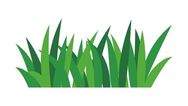 natural green grass bushes decorate environmental ecology cartoon scene vector