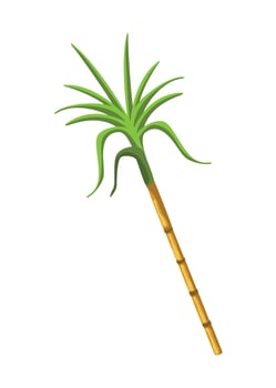 lohri indian plant vector