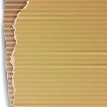 Corrugated Cardboard Vector Background. Realistic Ripped Carton Wallpaper With Torn Edges. Graphic Design Element For Poster, Flyer, Advertisement, Web Site. Vector illustration
