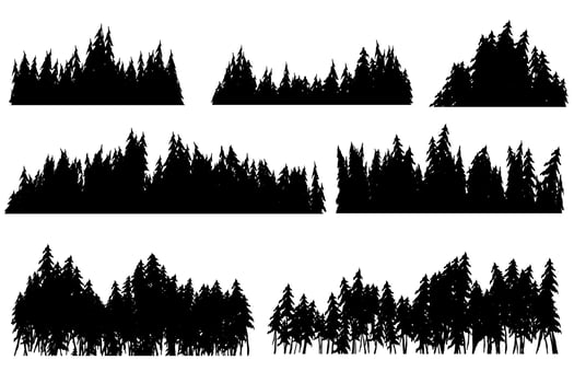pine tree silhouette vector