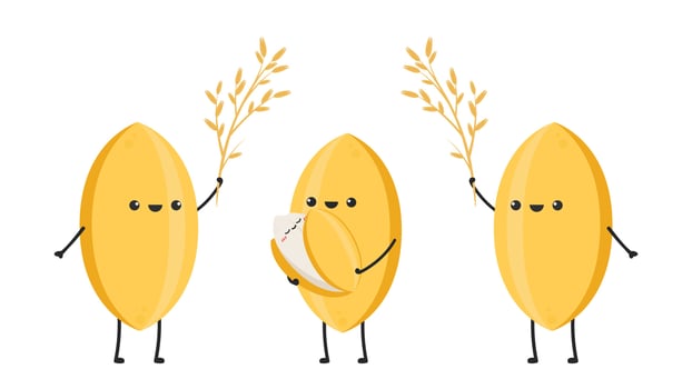 Rice character design. rice vector on white background. rice seed.