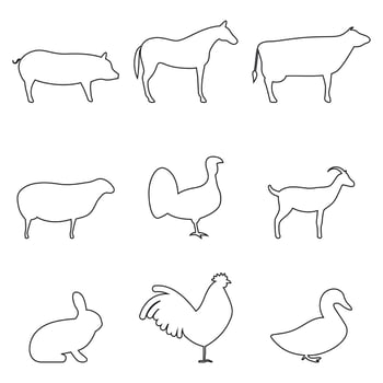 Set of isolated icons on a theme agriculture animals vector