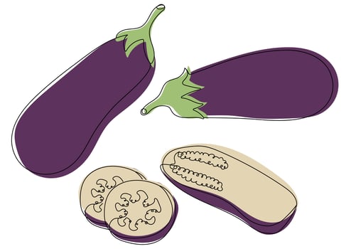 Set of eggplants vector