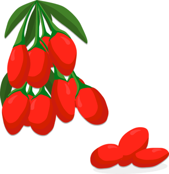 Sweet juicy tasty natural eco product goji png