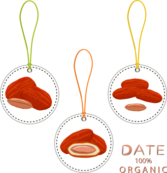 Sweet juicy tasty natural eco product date fruit png