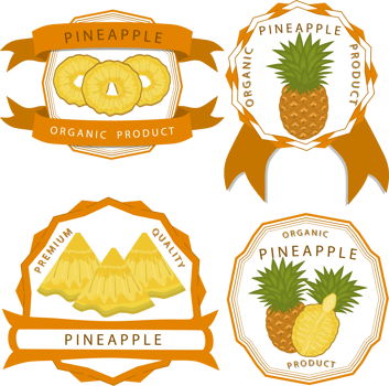 Sweet juicy tasty natural eco product pineapple png