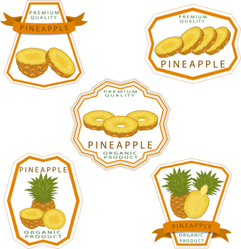 Sweet juicy tasty natural eco product pineapple png