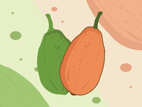 Healthy Summer Fruits Sweet Papayas vector