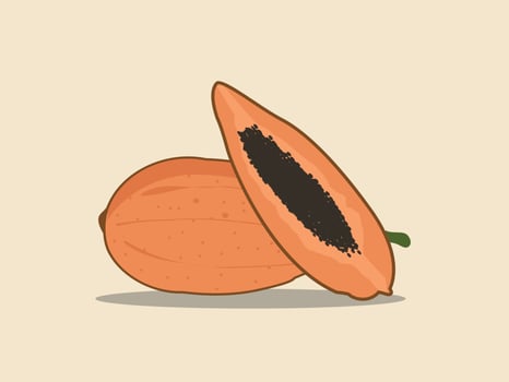 Summer Tropical Fruits Sweet Papaya Illustration vector