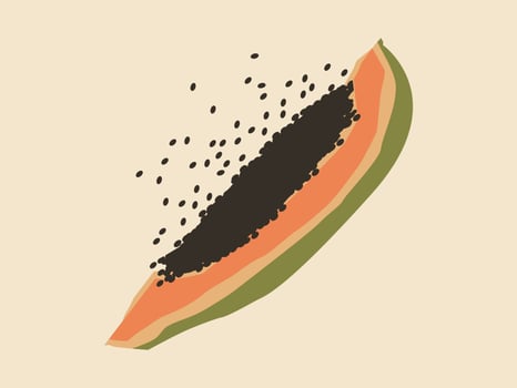 Tropical Summer Fruits Sweet Papaya Slice vector