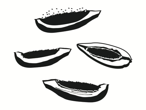 Summer Tropical Fruits Sweet Papaya vector