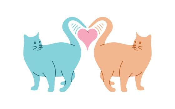Two Cats Fall in Love Vector Design, Lovely Cats Designed in Colorful and Funny Style