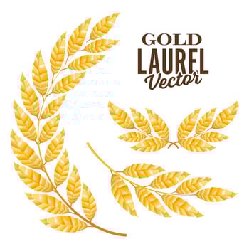 Gold Laurel Vector. Elements For Award Design vector