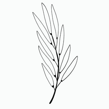 Simplicity floral freehand drawing flat design. vector