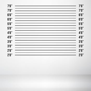 Police Mugshot Vector. Police Lineup Isolated On White Background Illustration vector
