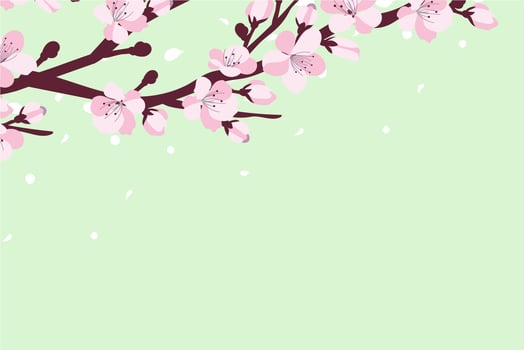 Background with cherry blossom. A branch with cherry blossoms isolated on a white background. Japanese sakura. Vector illustration