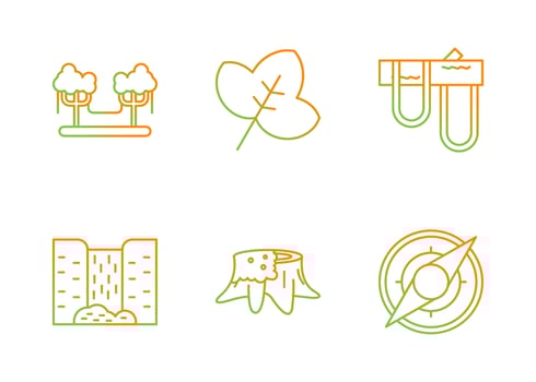 Rainforest Vector Icon Set