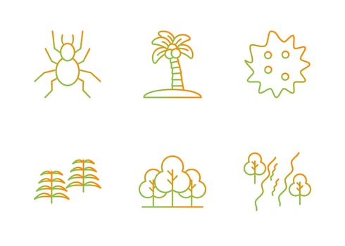 Rainforest Vector Icon Set