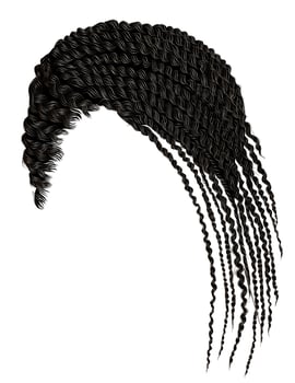 trendy  african hair cornrows vector