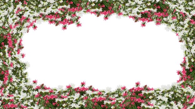 frame of flowers copy space for text with cut out isolated on background transparent png