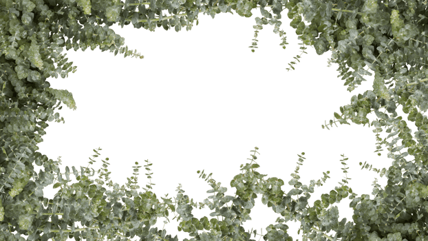 frame of flowers copy space for text with cut out isolated on background transparent png