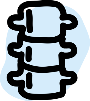 Human spine anatomy. png