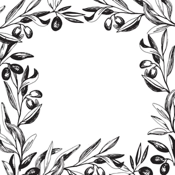 Olives border with olive branches and fruits for Italian cuisine design vector
