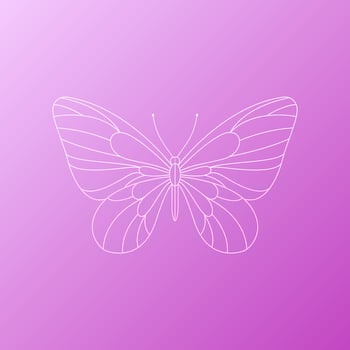 Cute vector butterfly detailed tattoo sketch isolated