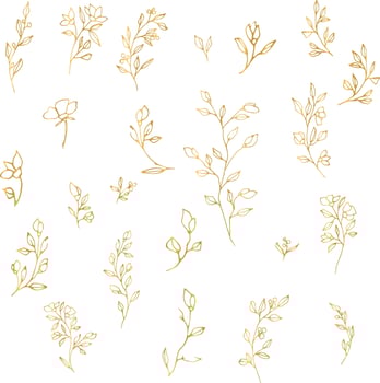 Graphic hand drawing vector plant branches with buds and berries. Vector golden elements for wedding design, logo design, packaging and other ideas