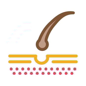 Growing Hair Icon Vector Outline Illustration