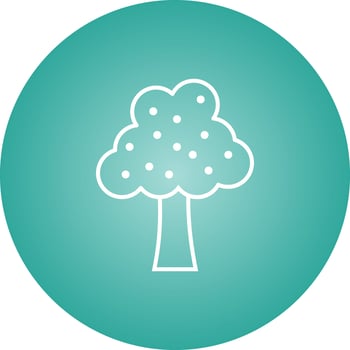 Beautiful Fruit Tree Line Vector Icon