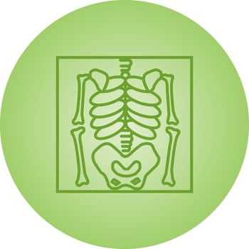 Beautiful skeleton vector line icon