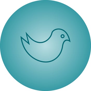 Beautiful Cute bird vector line icon
