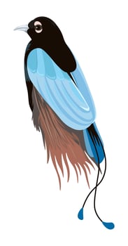 Exotic avian animal, bird with bright plumage vector