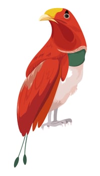 Tropical bird, avian animal or exotic parrots vector