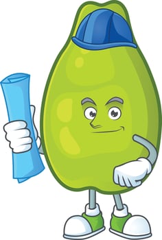 Papaya Fruit Vector