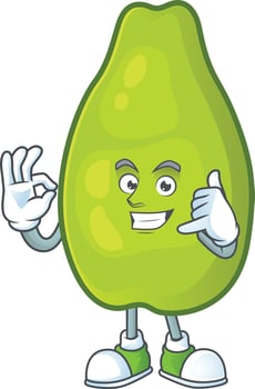 Papaya Fruit Vector