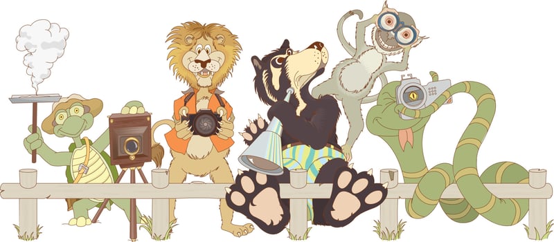 Zoo animals cartoon. Turtle, monkey lion, bear and snake taking photos vector