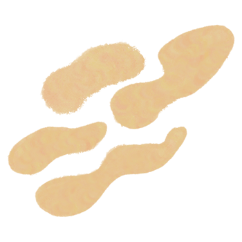 Hand Drawn Aesthetic Art Illustration png