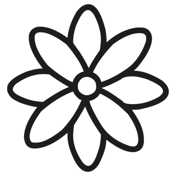 Beautiful flower petals for colouring on Transparent Background png