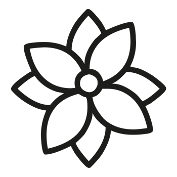Beautiful flower petals for colouring on Transparent Background png
