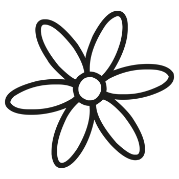 Beautiful flower petals for colouring on Transparent Background png