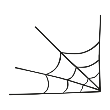Hand Drawn Spider web on Transparent background png