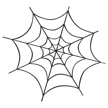Hand Drawn Spider web on Transparent background png