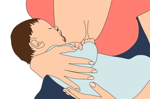 Woman breastfeeds a baby. Banner about pregnancy and motherhood. Vector. vector